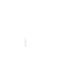 MONGO DB